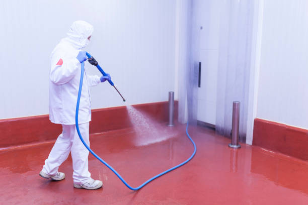 Best Parking Lot Cleaning in Grayson Vley, AL